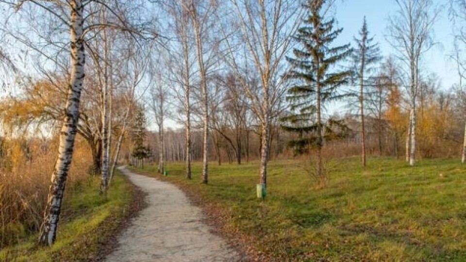 В Україні фіксують найтепліший день перед похолоданням – синоптики