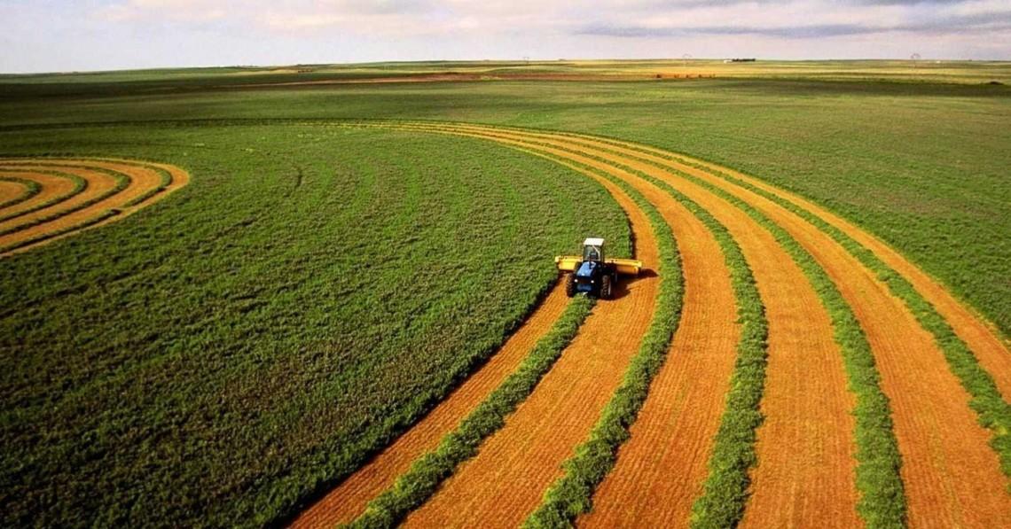 Де в Україні найдорожча земля: ціни сягають понад 120 тис. грн за гектар