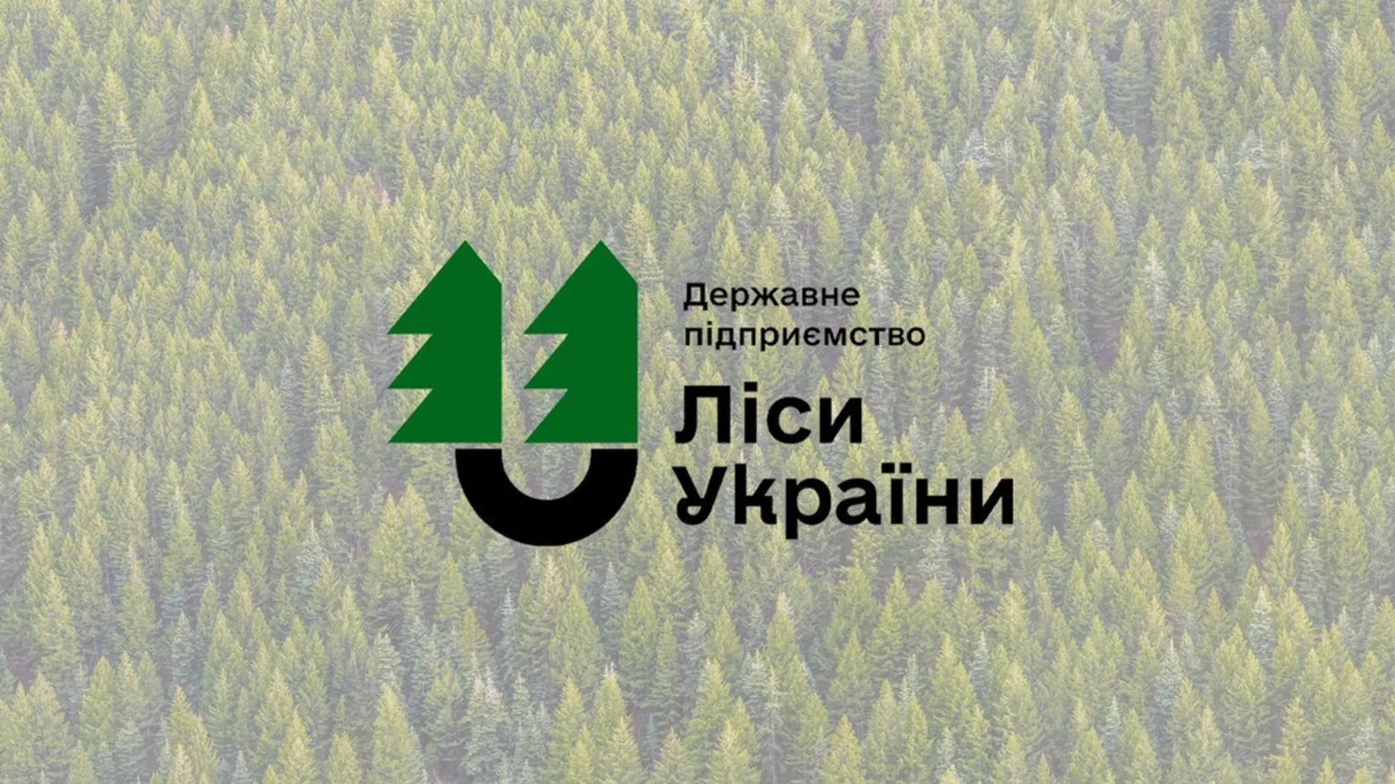 Родина керівника Поліського офісу «Ліси України» за рік скупила гектари землі та нерухомість