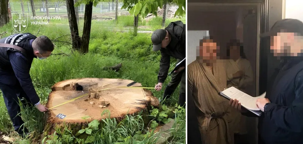 Схеми на деревині для війська: у ЗСУ викрили корупцію на понад 14,7 млн грн