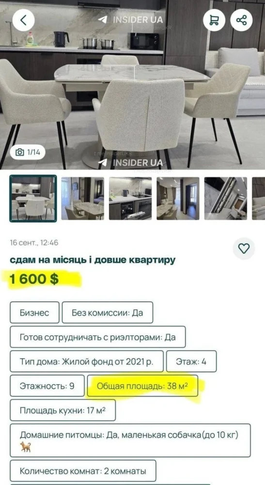 $2000 за двокімнатну квартиру: Ужгород б’є рекорди за цінами на оренду