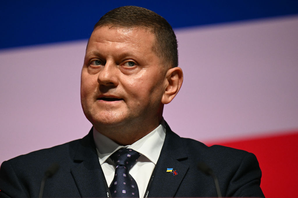 Залужний пожартував про англійську — і почалася атака: Тука пояснив, чого насправді бояться на Банковій