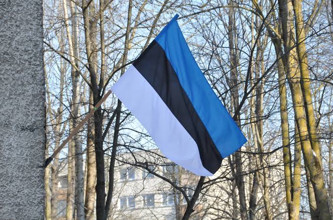 Гучний футбольний скандал у Балтії: в Естонії достроково зупинили матч чемпіонату через підозру у договірній грі